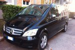 Mercedes Viano Mercedes Viano