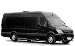 Mercedes-Benz Minibus  (12 pax)