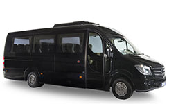 Mercedes-Benz Bus  (25-30 pax)